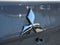 2021 Mitsubishi Outlander Sport 2.0 SE