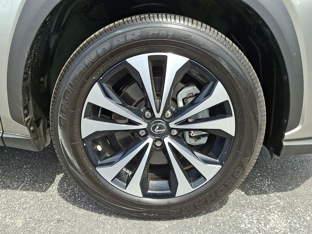 2021 Lexus NX 300 F Sport