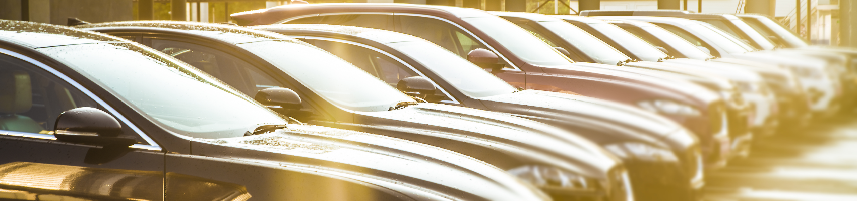 How to Buy a Used Car